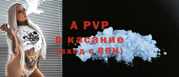 прущие грибы Каменка