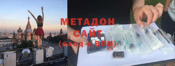 прущие грибы Каменка