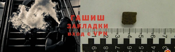 прущие грибы Каменка