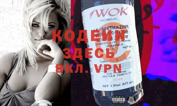 прущие грибы Каменка