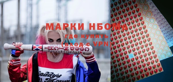 прущие грибы Каменка