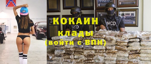 прущие грибы Каменка