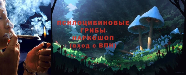 прущие грибы Каменка