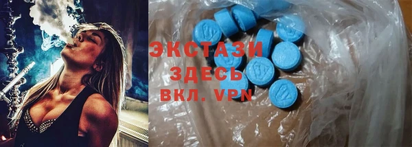 прущие грибы Каменка