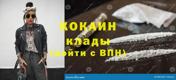 прущие грибы Каменка