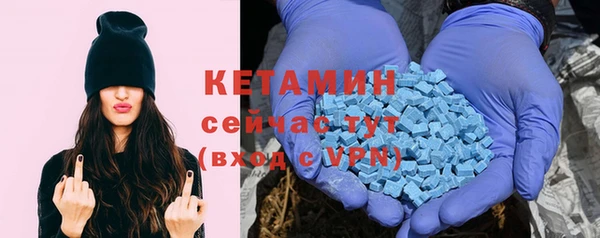 прущие грибы Каменка