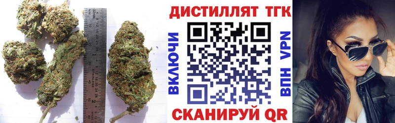 Купить  Заволжск  Дистиллят ТГК концентрат 